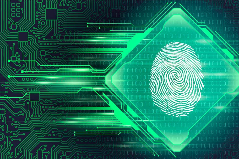 Identidade digital: entre a cidadania, a competência e a consciência na sociedade em rede